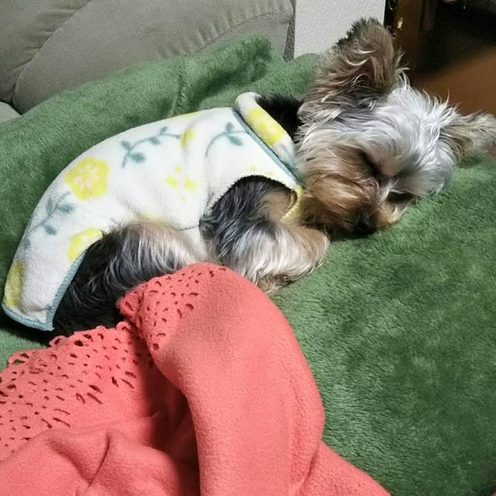 2f83ba9c a9ef 469d a354 ad6df967bc1f 1545923046786