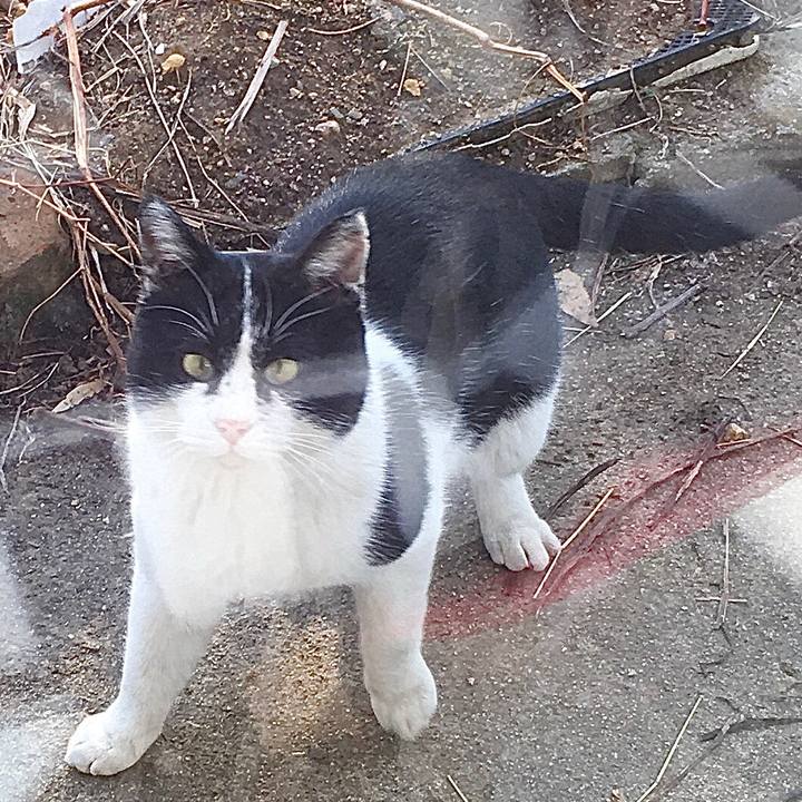 2f841bf8 305a 433e 9135 27f65019a2cf 1581922639638