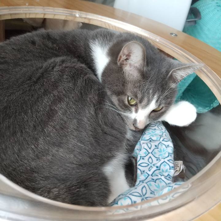 2f8421a7 0302 4b49 bd06 0f3383923dc8 1626673861240