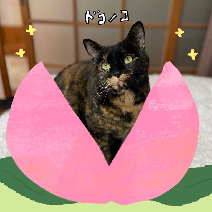 2f843661 258f 4b95 a268 b82e1b388696 1771995978197