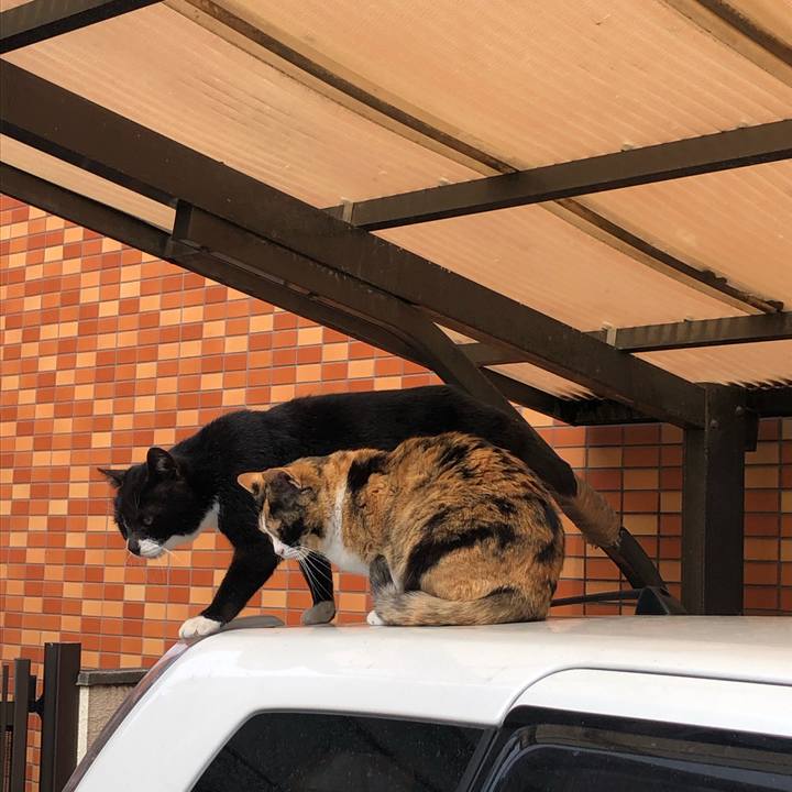 2f843b85 3906 4ce5 8329 90d166c8cbb1 1584630654114