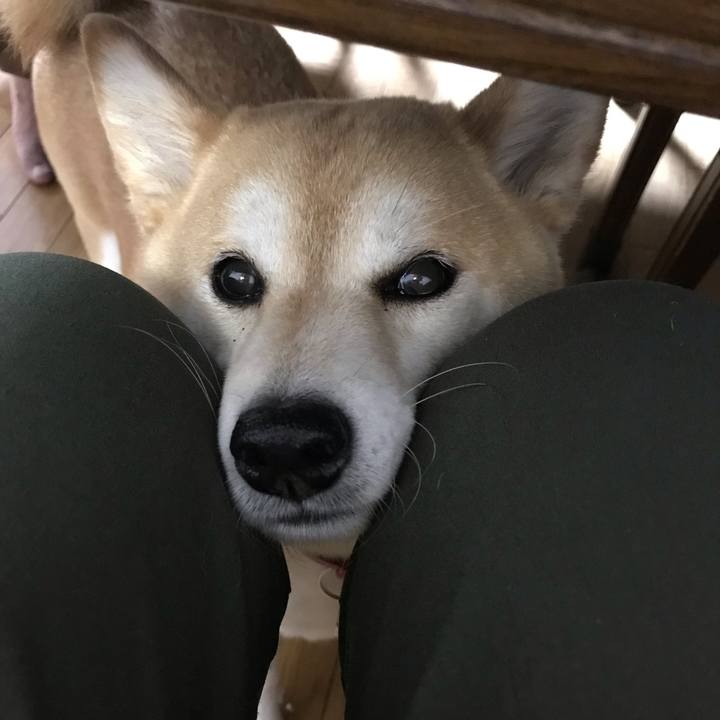 2f84b953 3e4f 461d acb4 f08578ee113e 1558957226737