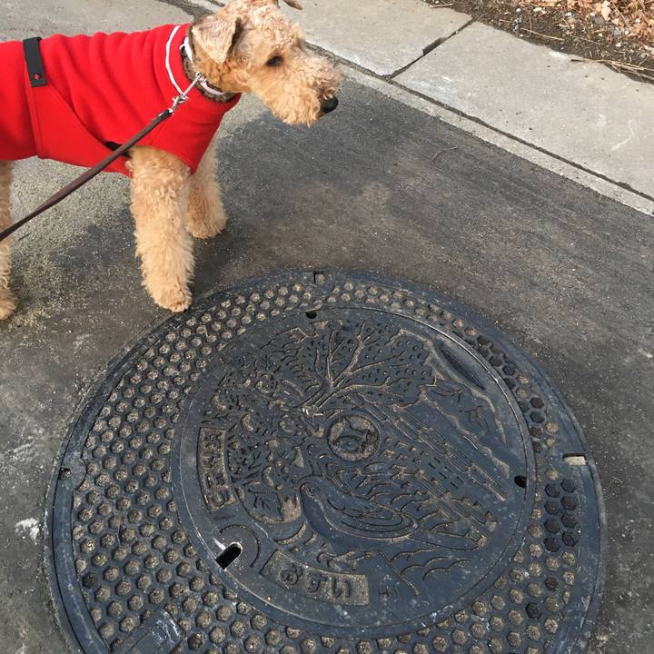 2f84ea26 062d 4a86 adb0 1e75dce467d0 1515500775418