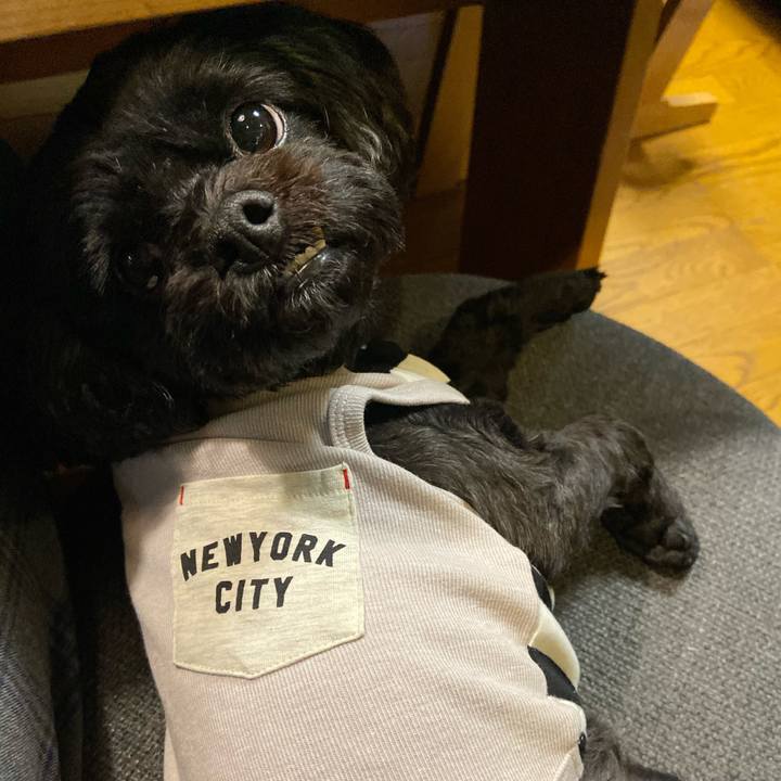 2f85d331 a41f 44ea 8c32 f51594bc6eef 1572329348590