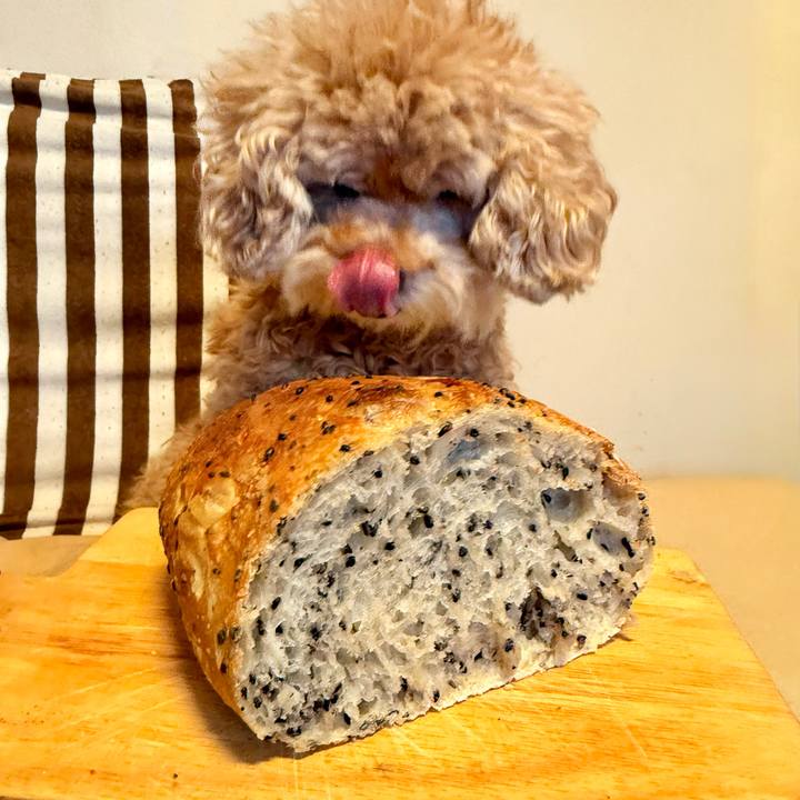 2f85f3b7 ce49 49dc bc52 e8838f4fbc70 1761271471365