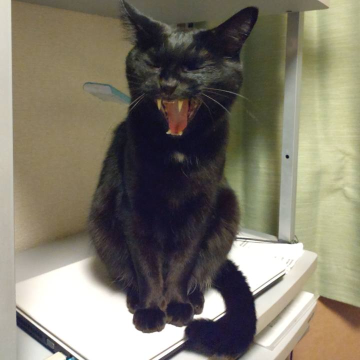 2f861e20 a741 4bb2 8662 3de091b663f5 1666342209472