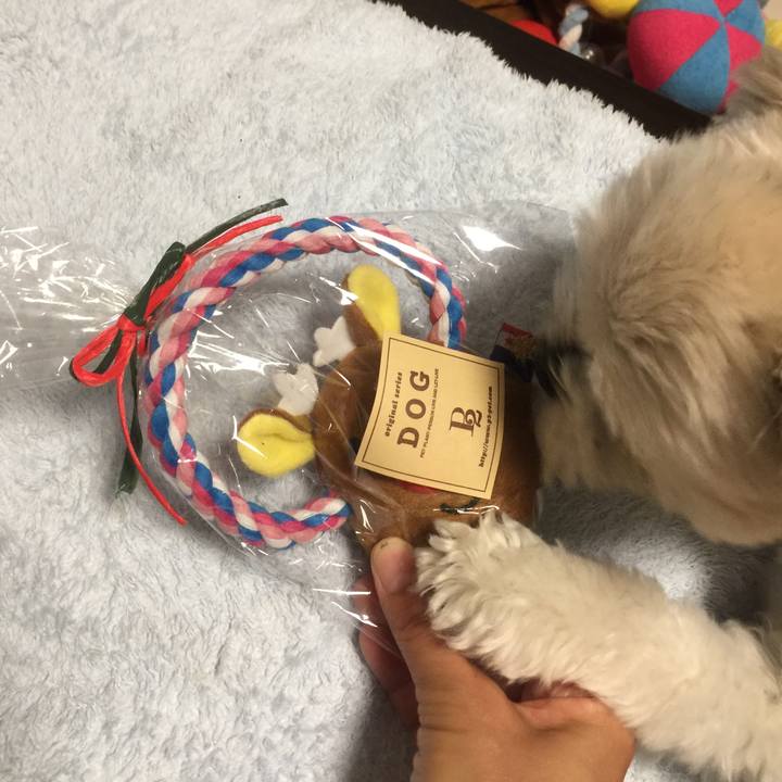 2f8677a0 4c0c 4fac a834 0670285ee5d4 1512044427839