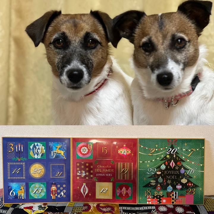 2f867ba1 1d0e 4bd8 809f cca3c3657cbd 1669812616264