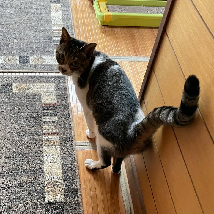 2f86803c 9902 48a5 94cf 7c6c49b36131 1646014166231