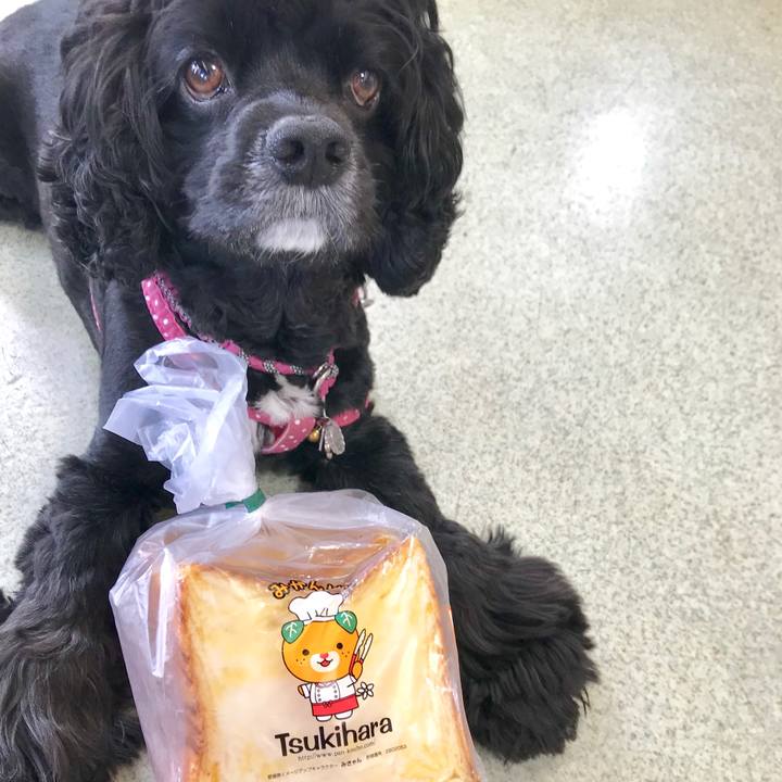 2f868535 331b 493c a629 2b5d4a66ab13 1570424588566