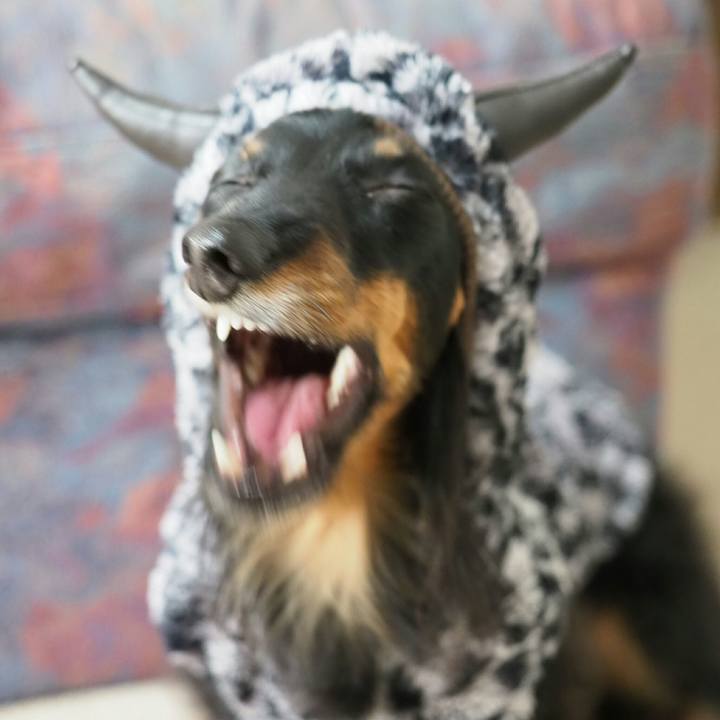 2f868fd0 c39b 4b25 a8b1 67ec55afc7b0 1550725128335