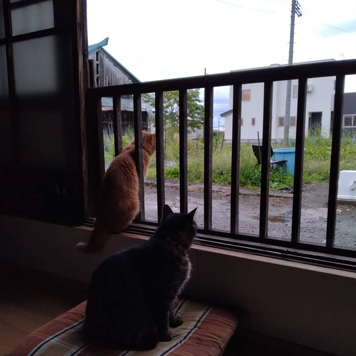 2f8691ca d204 42c7 a68d e541677ea29c 1663966560250