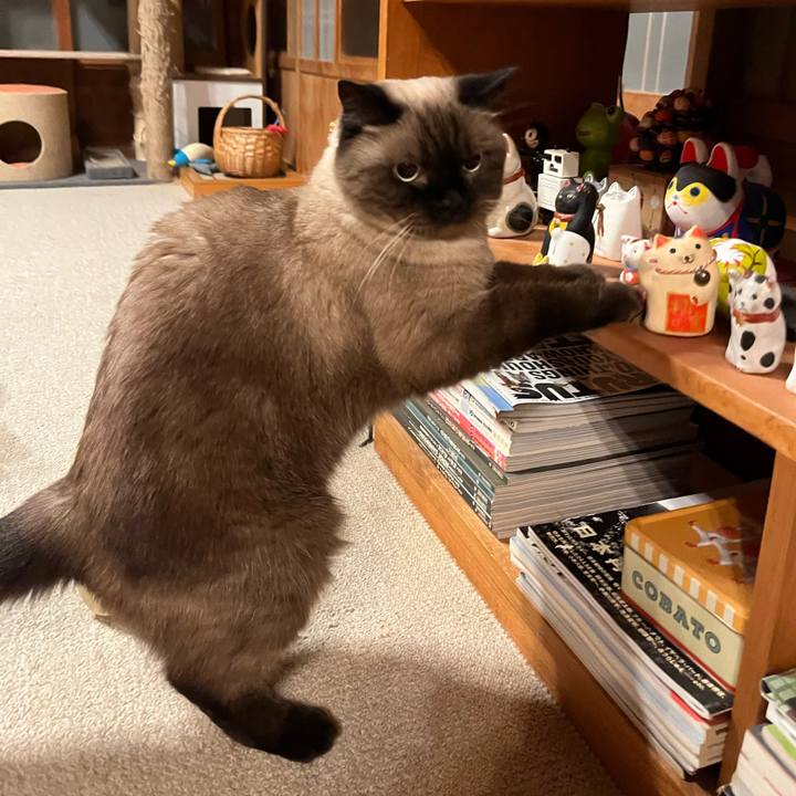 2f86c0cb cfc0 4b70 98a0 6171debfdda4 1695898282164