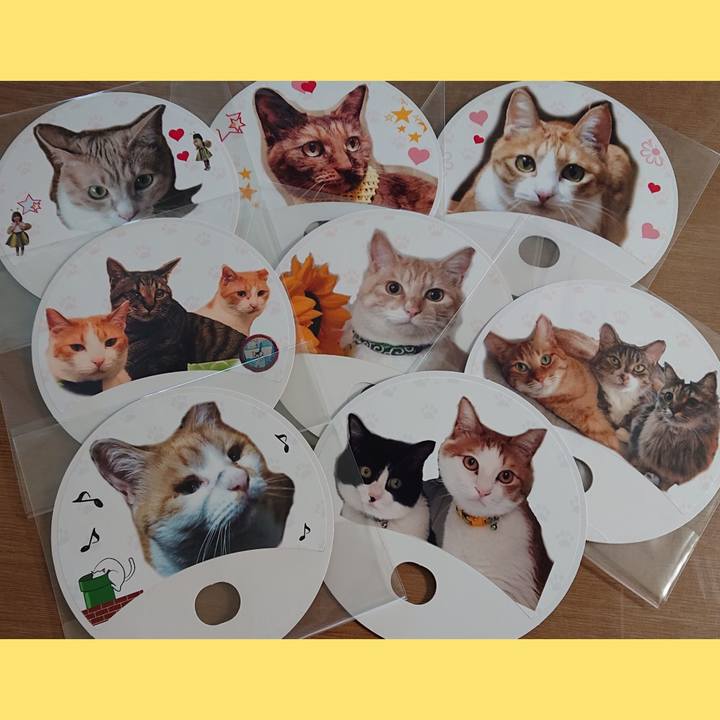 2f86ccaa b5d3 4b8e 9fd5 ce1597bc2ee3 1560989178133