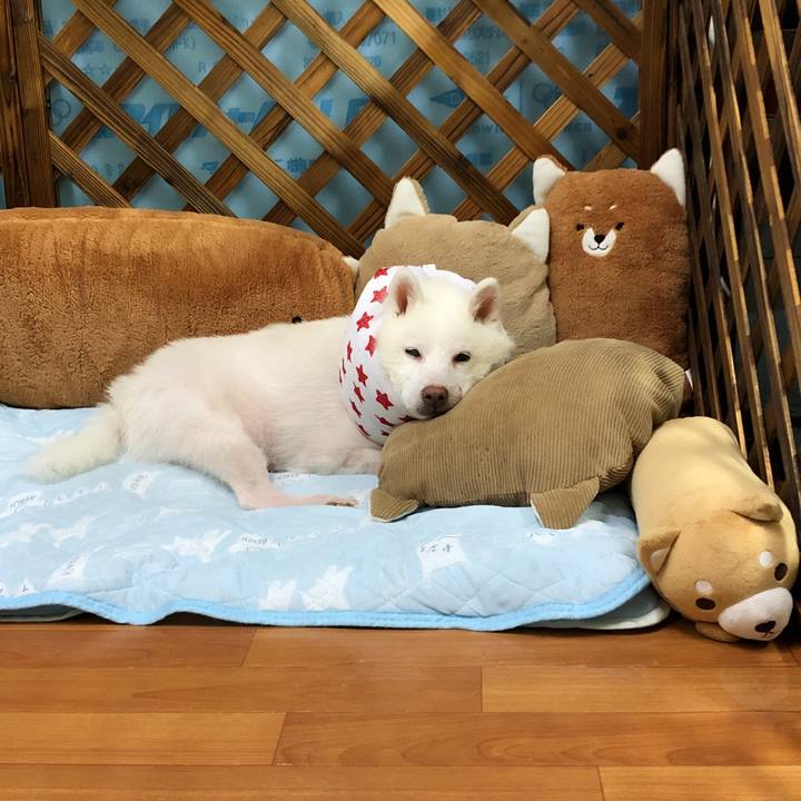 2f8704ad 5a67 43c2 93ae acbb26f53db3 1632748437821