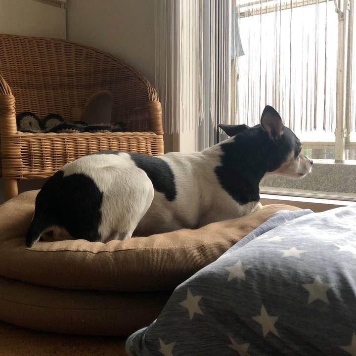 2f8745aa f192 4e35 b63b 11d1ba7ffec5 1537572303790