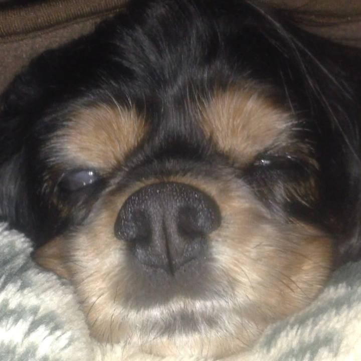 2f87556b cab7 4043 a93c ee770f952011 1574894948452