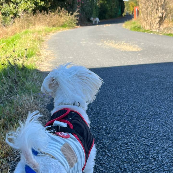 2f878f8b 092d 4a23 8f27 f1585b13835b 1670991057384