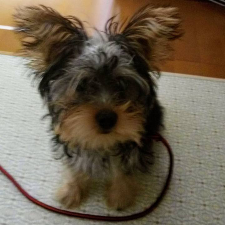 2f8797cf 8301 442a b862 2d39fab2425b 1533898390610