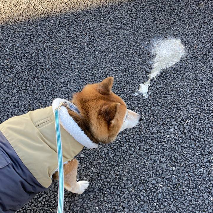 2f87cb4b b9ef 4690 9e51 b67283a2b912 1736946383414