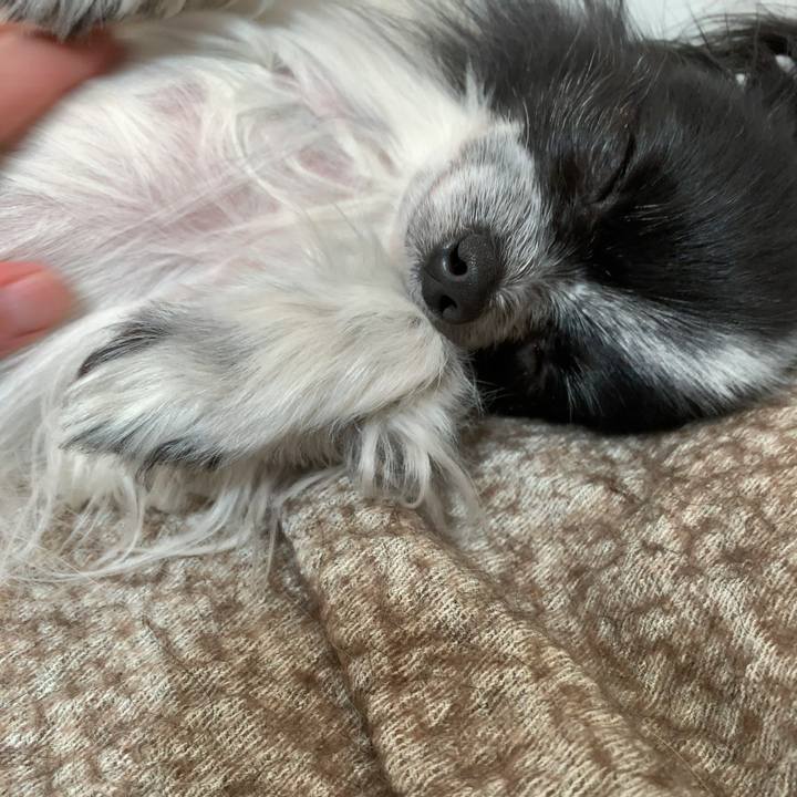 2f87fedc 295a 4fd9 a00a 1764c9399203 1555328885118