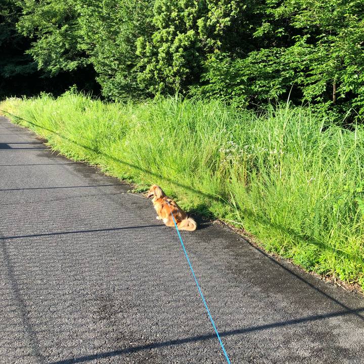 2f881d3f f35e 4514 90c8 0b3c7f4f562c 1529100521527