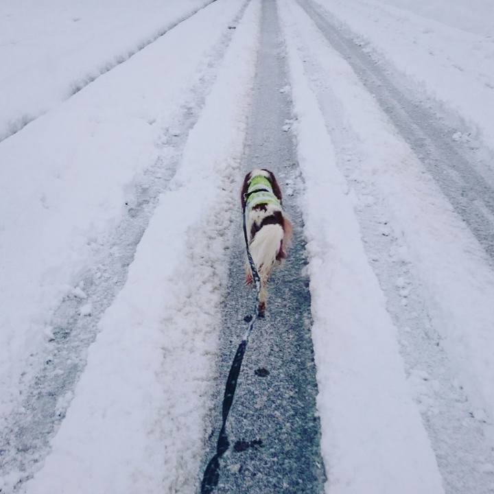 2f882a5b f463 438d b73a c700de0873b5 1544830136904