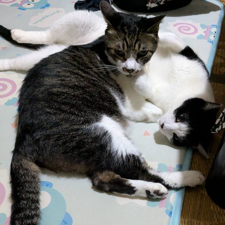 2f88642e 1f04 4cf1 a3c2 5924df9b7145 1757307184120