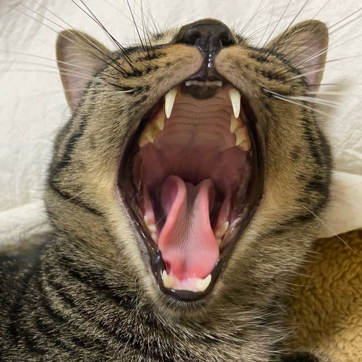 2f886cf1 79c4 4832 ab27 436525b8b049 1665577425559