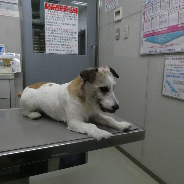 2f88a46e be4f 4932 98bd 86c15dd50eac 1591420908235