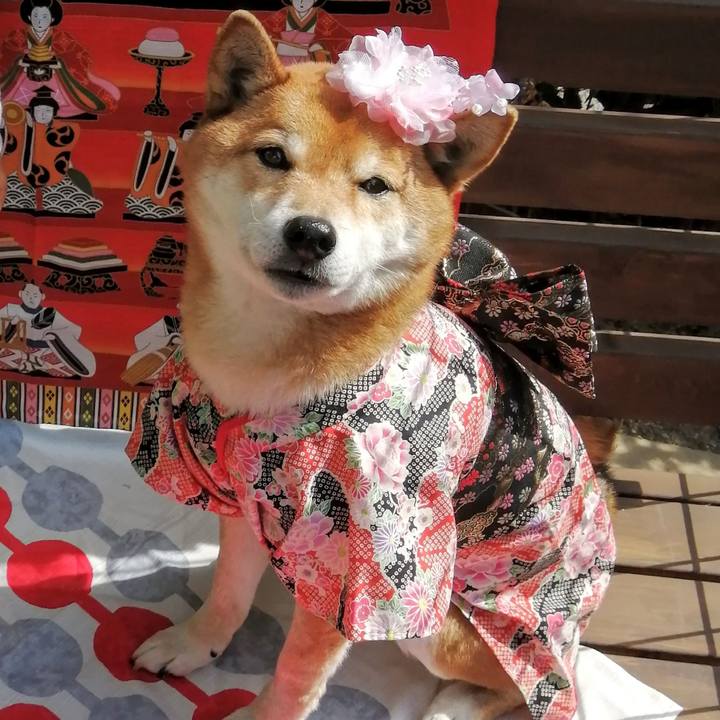 2f88a4f9 f8c1 4eb5 a5db bcb3fed30cde 1614574008132