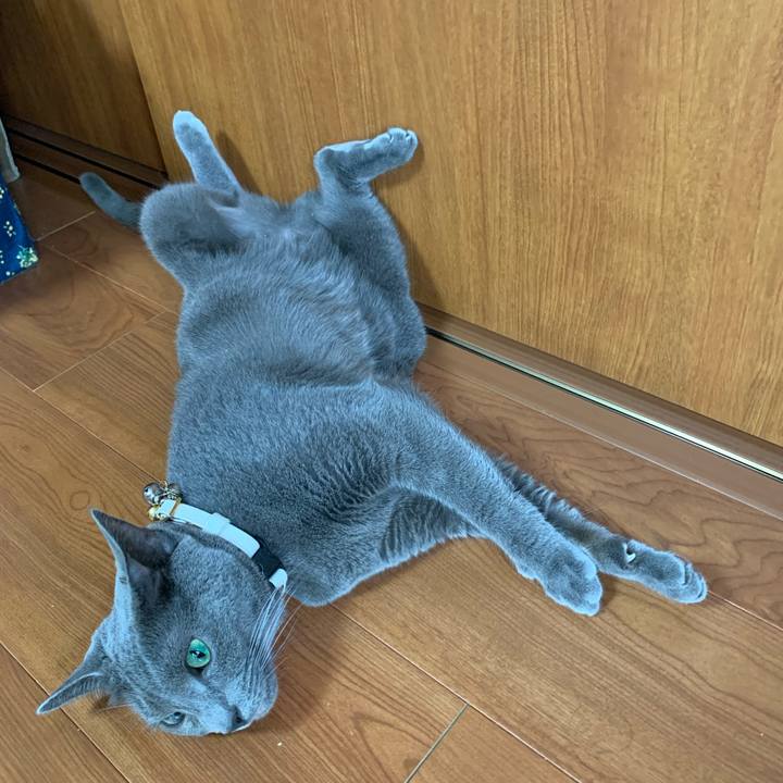 2f88c086 7821 4b30 8d5f 8f283103c1ac 1660265099078