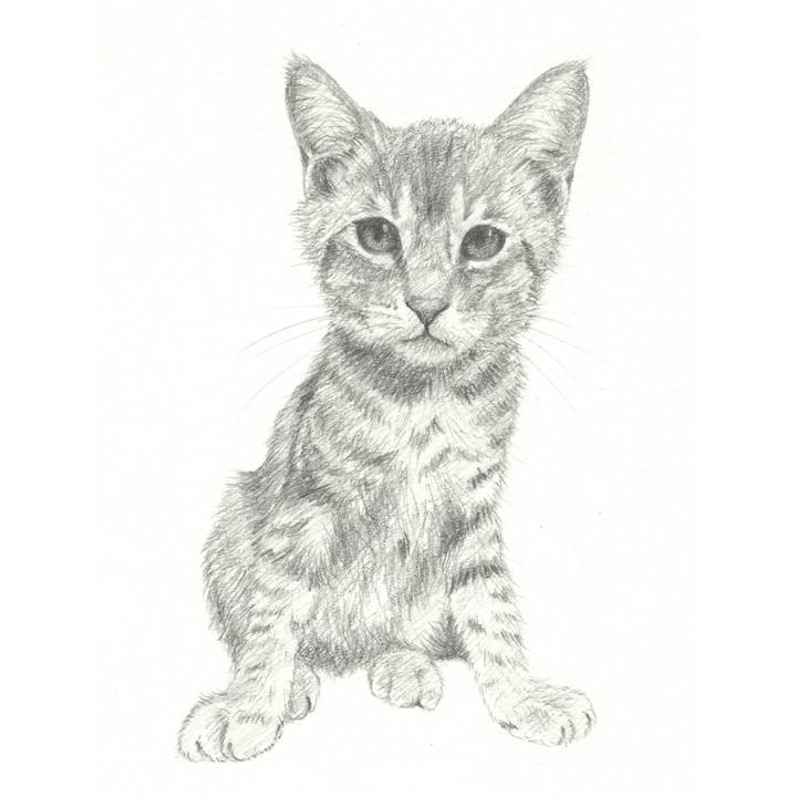 2f88c8c9 ab85 4ab2 8ba3 9cc54028a519 1540477523772