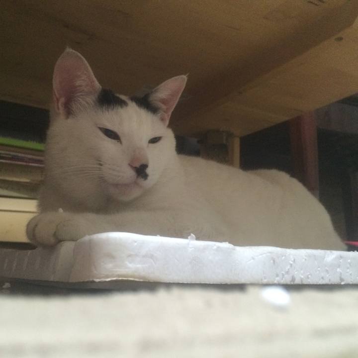 2f88ee42 31f0 433b 991c 6e9ff3695b8b 1529593279203