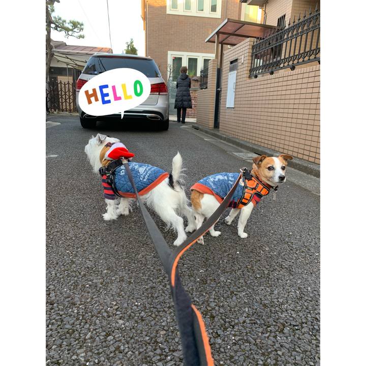 2f892a42 ceb5 4b6c 8248 7e1933f8dfee 1640340481383