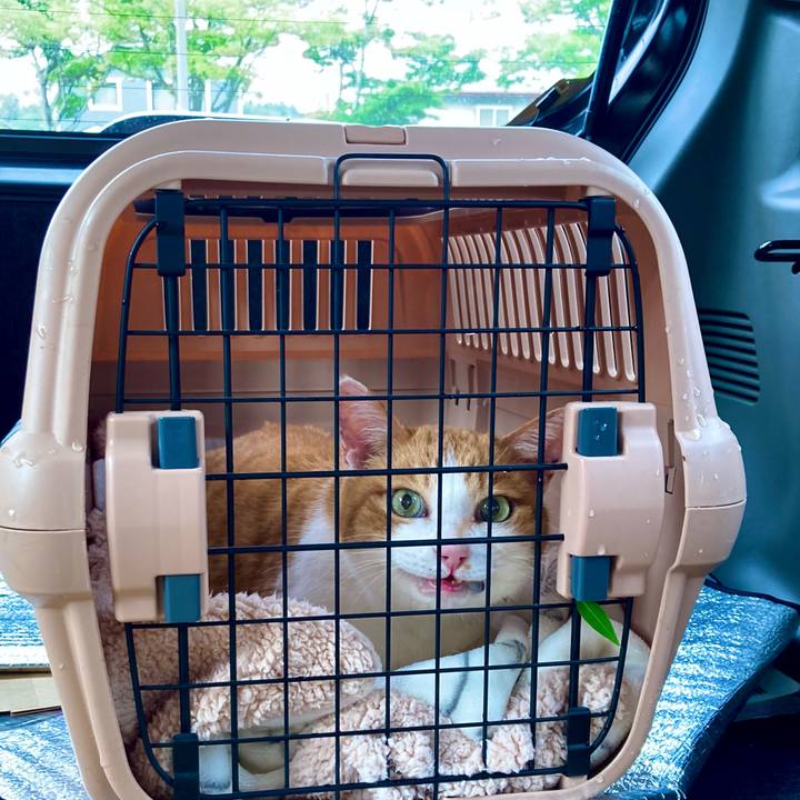 2f892ba9 10de 47e5 9c7e e4a9776ca741 1716189131067