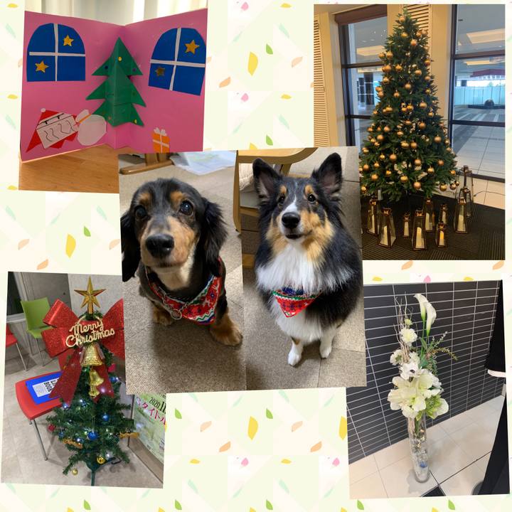 2f893f8d 9597 4f12 bc20 fd8fe7c1850f 1608343011842