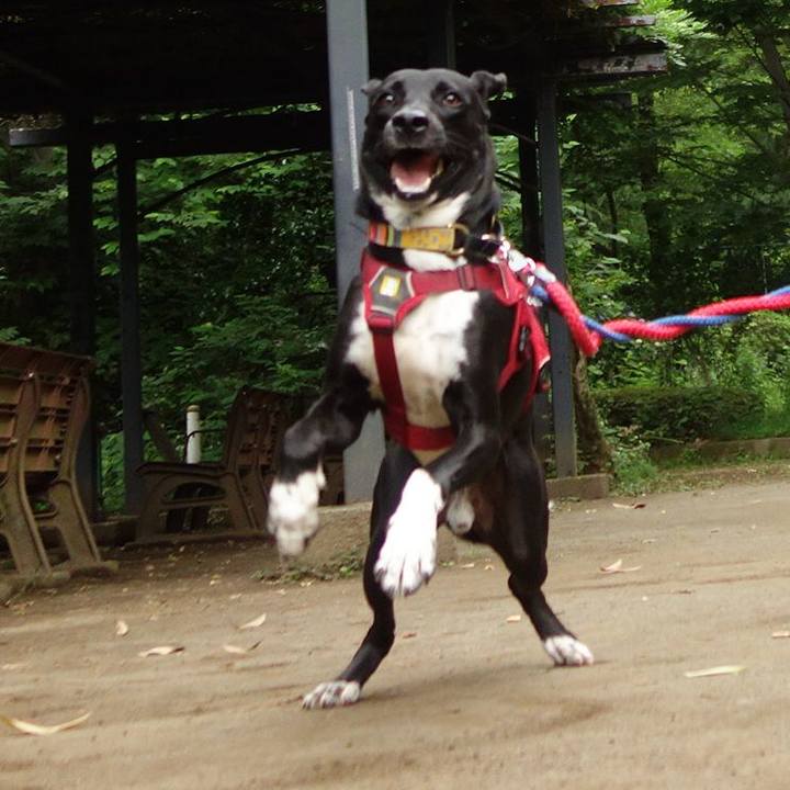 2f8964bb d738 456f ad63 205644c81dcd 1592437081237