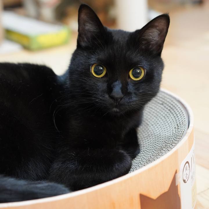 2f897901 2951 4539 9112 2fed14fc3292 1623591207928