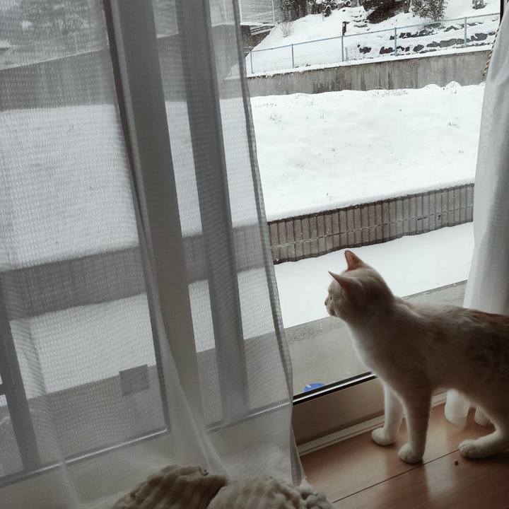 2f8a313d 0ae0 429f 969b 405ba0009c79 1644021702339