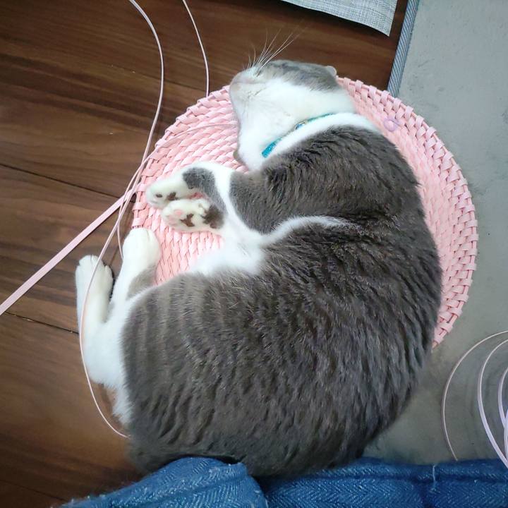 2f8a3bef 66ac 4c10 9418 40eaaeef9b3c 1653714035943