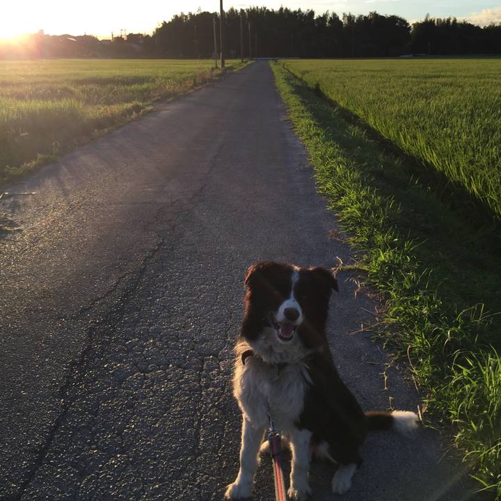 2f8a4583 a964 4d49 822e 9f84f45e8ced 1534972330526