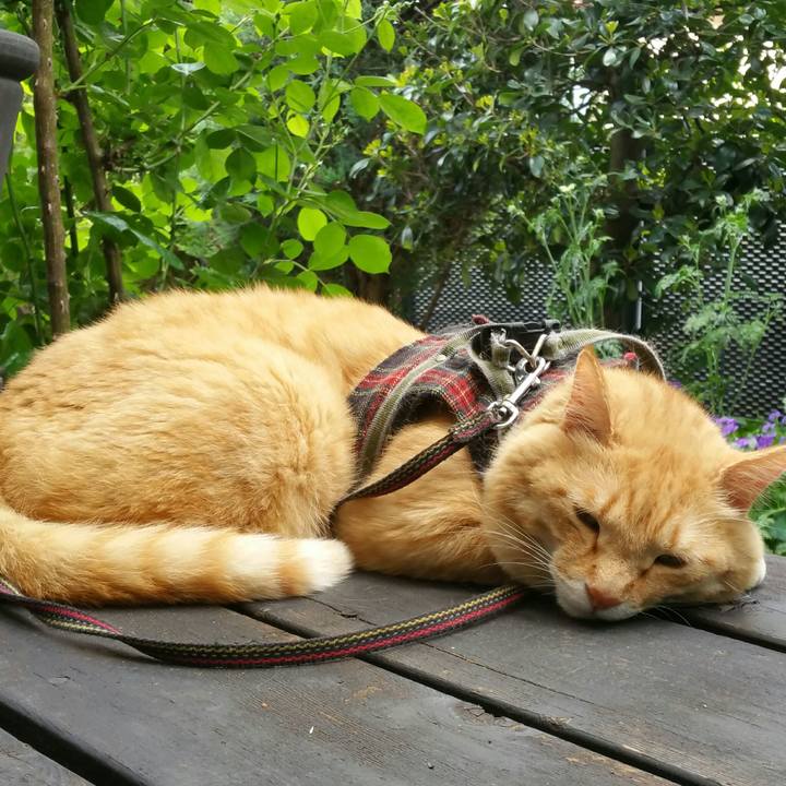 2f8a6a5e be9a 496e 8d2a 4eabe8f99aad 1558075644202