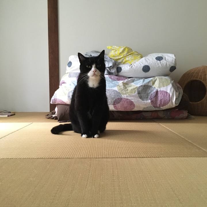 2f8afedb 9e22 4a60 bff5 65adcf9ff552 1533768511994