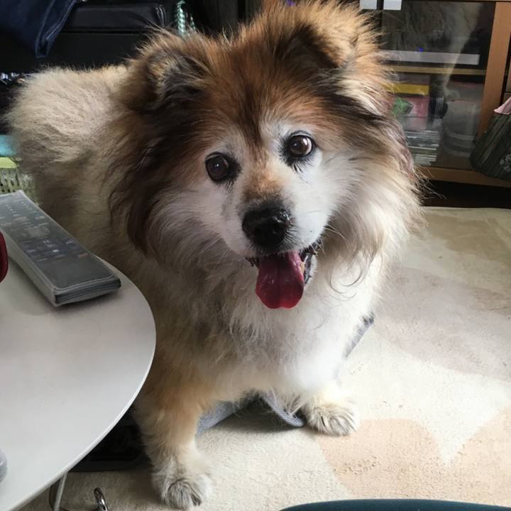 2f8affa2 c618 4adc 9802 47520401571b 1650098770211