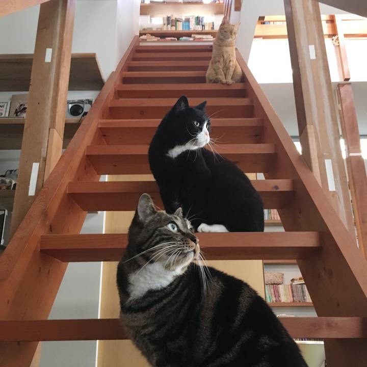 2f8b07ae dff4 4a92 8c43 162e6c308121 1572481252761