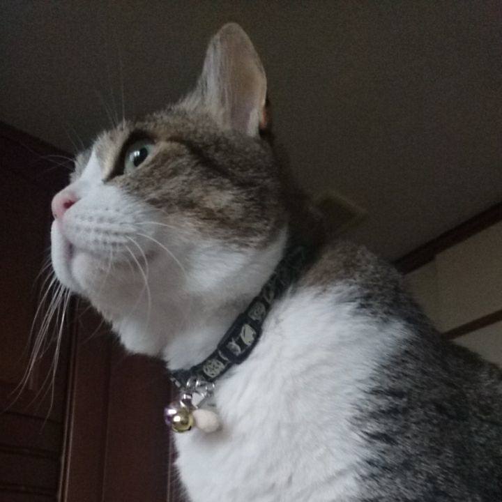 2f8bbfdf 0b57 4bb0 8cb8 49e9351c568e 1521791488113