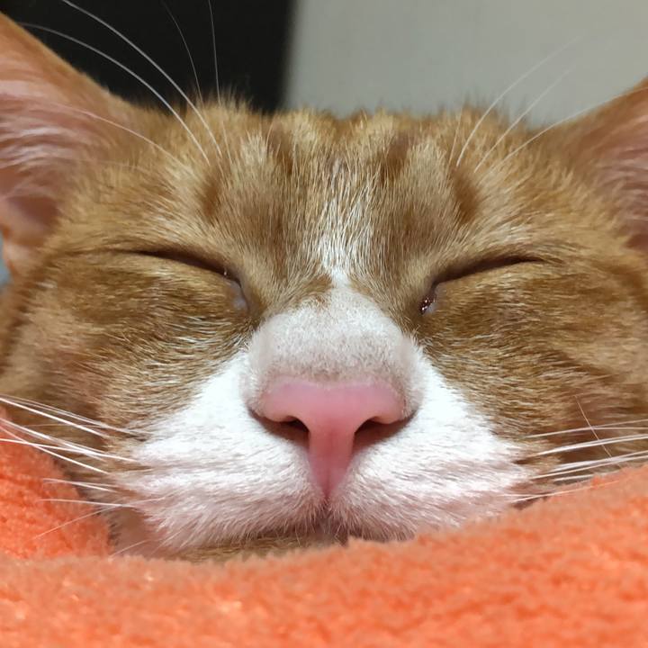 2f8bce37 fbd8 495f 961a 4abb4509ffe5 1576917578163