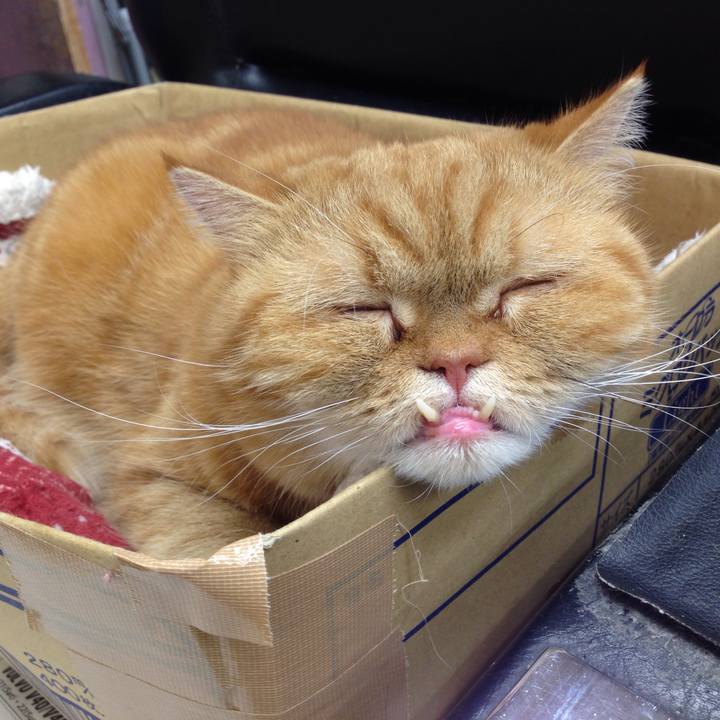 2f8bdda6 ea7c 425d ace8 b0ba30885e30 1512611821317