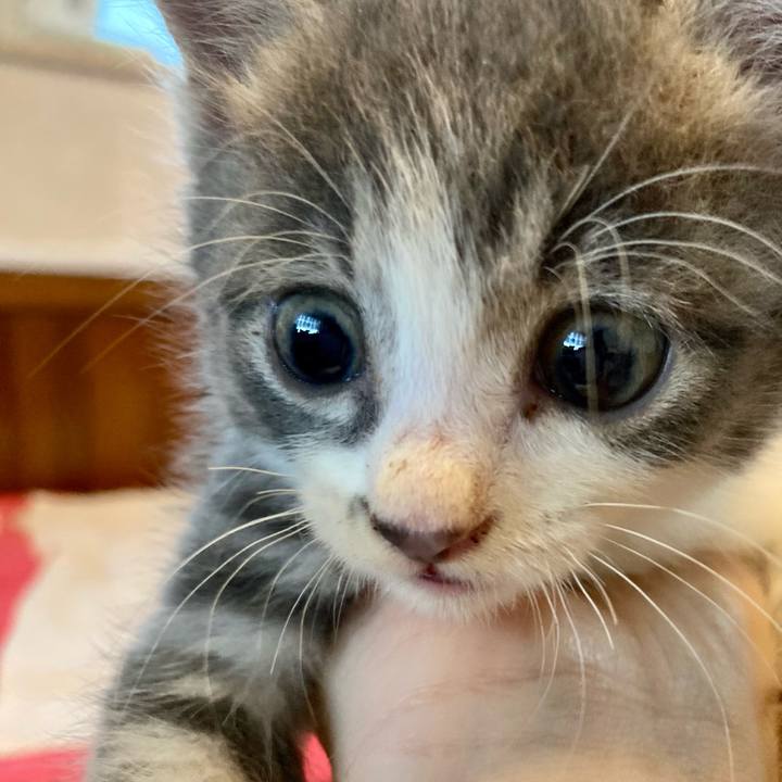 2f8bf3f4 d274 469c a54b cf176e53c667 1689983210190